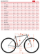 Фото Велосипед гравійний Kona Rove NRB, 27.5", 2024, Porcelain, 50 см (KNA B36RVN50) № 12 из 13